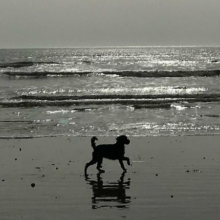 Elegant York House - On A Beach Road, Sleeps 12, With Sea Views Worthing Exteriér fotografie